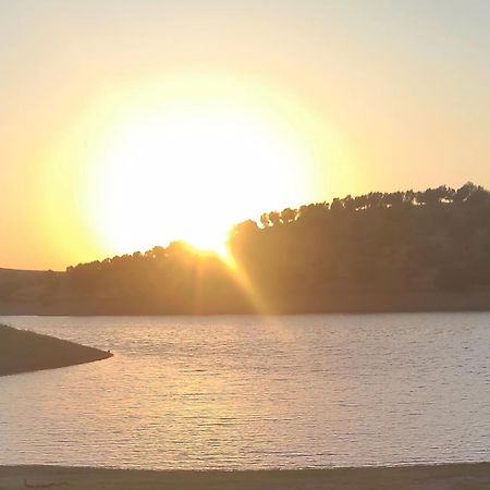 Willa Nova Quinta Moderna Torramo Em Oliveiras, Campo De Laranjas, Na Nacional 2, Alentejo 13750 M2 Torrão Zewnętrze zdjęcie