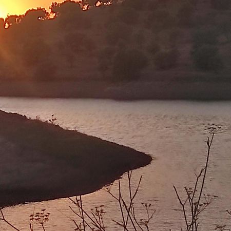 Willa Nova Quinta Moderna Torramo Em Oliveiras, Campo De Laranjas, Na Nacional 2, Alentejo 13750 M2 Torrão Zewnętrze zdjęcie