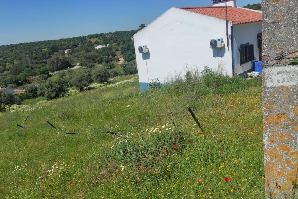 Willa Nova Quinta Moderna Torramo Em Oliveiras, Campo De Laranjas, Na Nacional 2, Alentejo 13750 M2 Torrão Zewnętrze zdjęcie