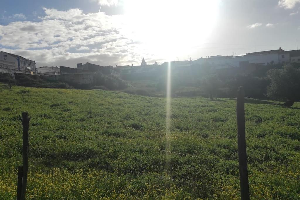 Willa Nova Quinta Moderna Torramo Em Oliveiras, Campo De Laranjas, Na Nacional 2, Alentejo 13750 M2 Torrão Zewnętrze zdjęcie