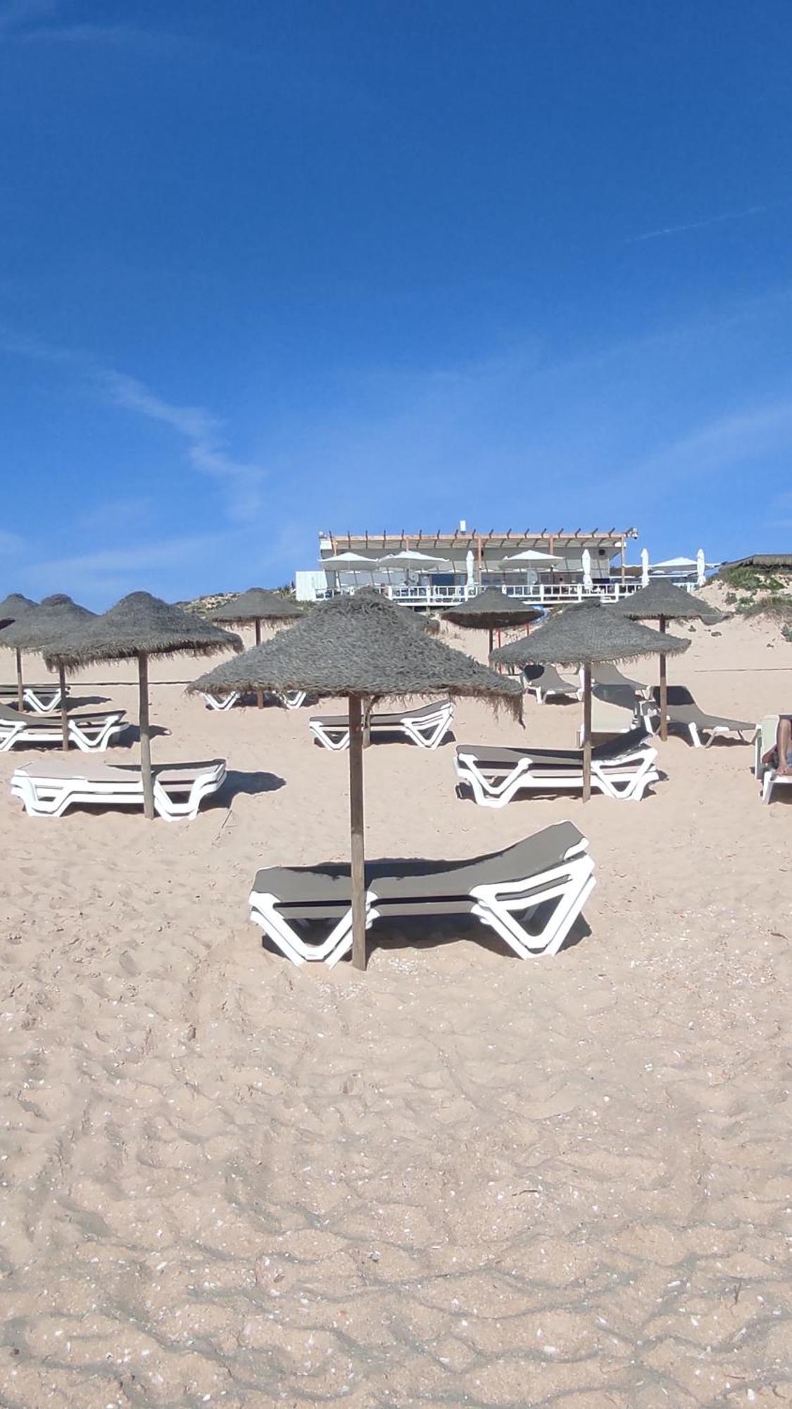 Willa Nova Quinta Moderna Torramo Em Oliveiras, Campo De Laranjas, Na Nacional 2, Alentejo 13750 M2 Torrão Zewnętrze zdjęcie