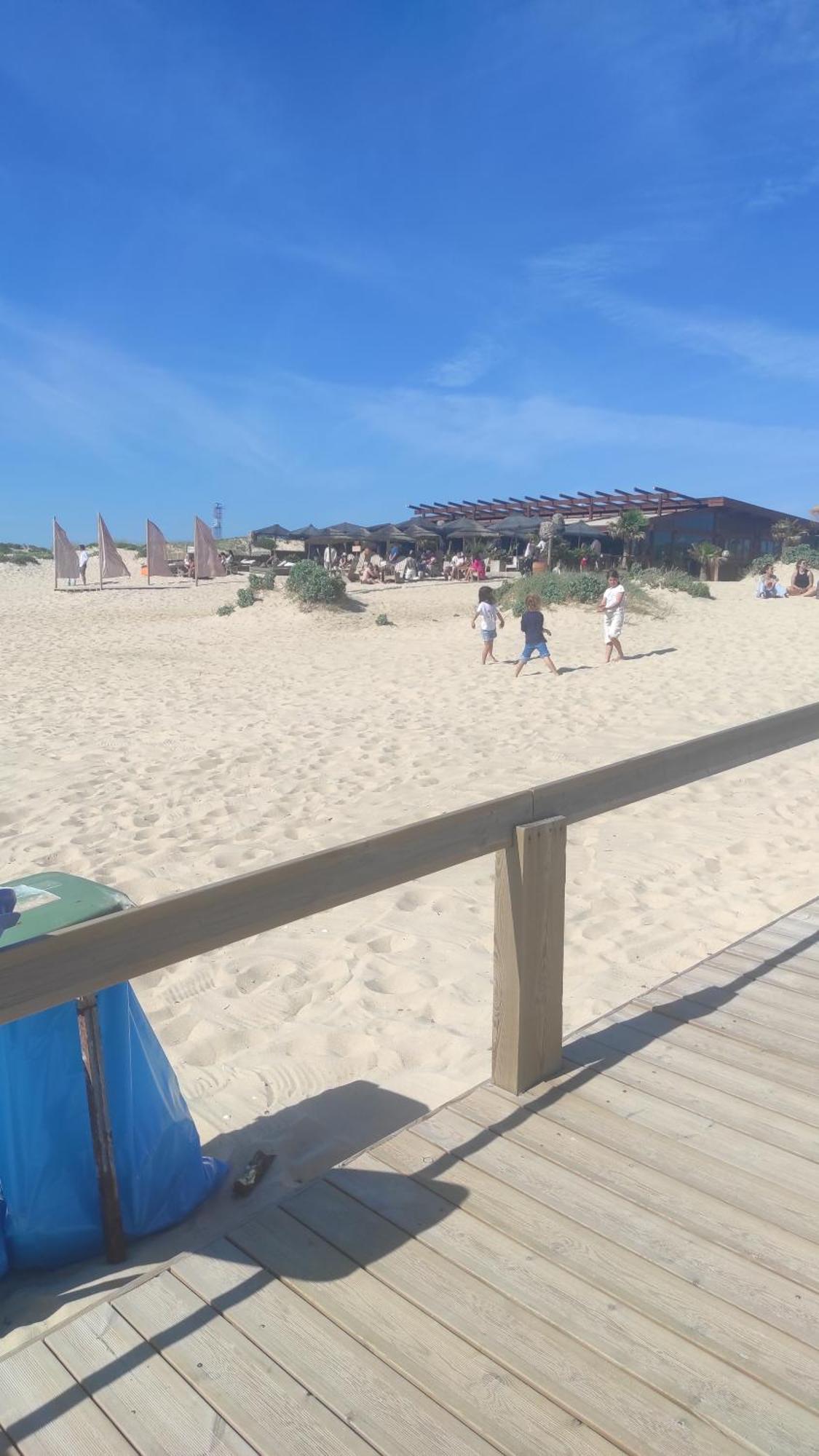 Willa Nova Quinta Moderna Torramo Em Oliveiras, Campo De Laranjas, Na Nacional 2, Alentejo 13750 M2 Torrão Pokój zdjęcie