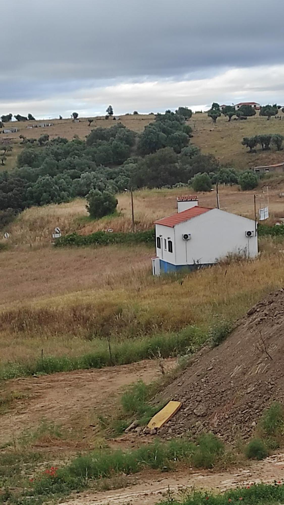 Willa Nova Quinta Moderna Torramo Em Oliveiras, Campo De Laranjas, Na Nacional 2, Alentejo 13750 M2 Torrão Zewnętrze zdjęcie
