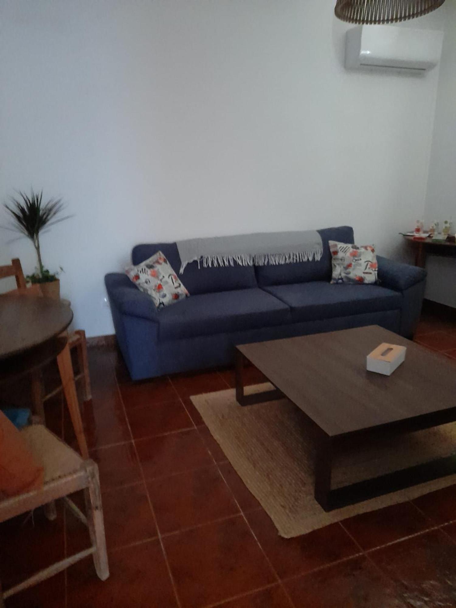Willa Nova Quinta Moderna Torramo Em Oliveiras, Campo De Laranjas, Na Nacional 2, Alentejo 13750 M2 Torrão Zewnętrze zdjęcie