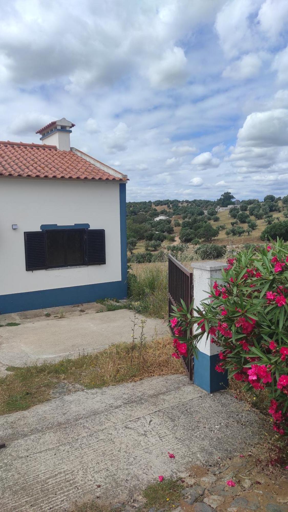 Willa Nova Quinta Moderna Torramo Em Oliveiras, Campo De Laranjas, Na Nacional 2, Alentejo 13750 M2 Torrão Zewnętrze zdjęcie