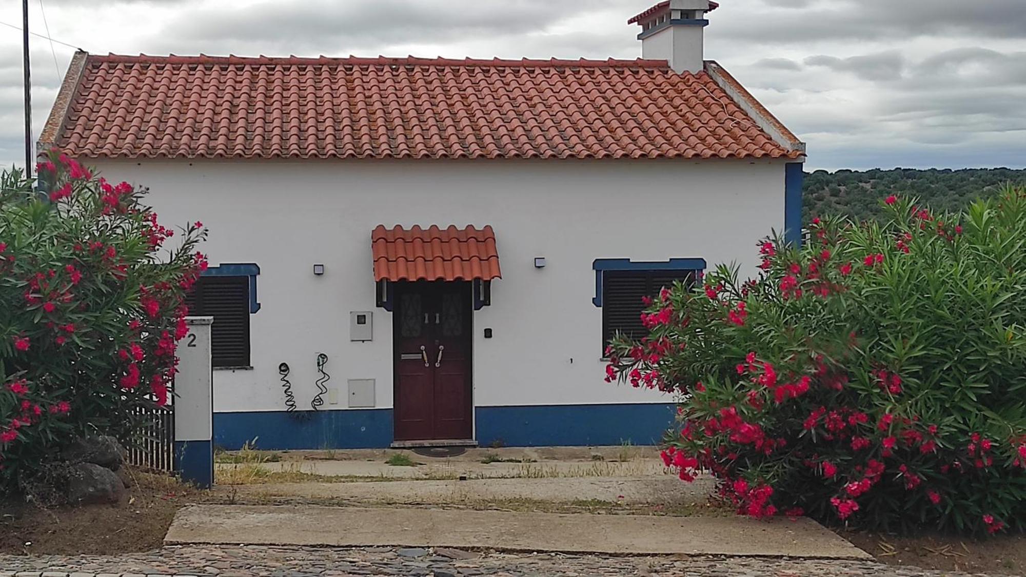 Willa Nova Quinta Moderna Torramo Em Oliveiras, Campo De Laranjas, Na Nacional 2, Alentejo 13750 M2 Torrão Zewnętrze zdjęcie