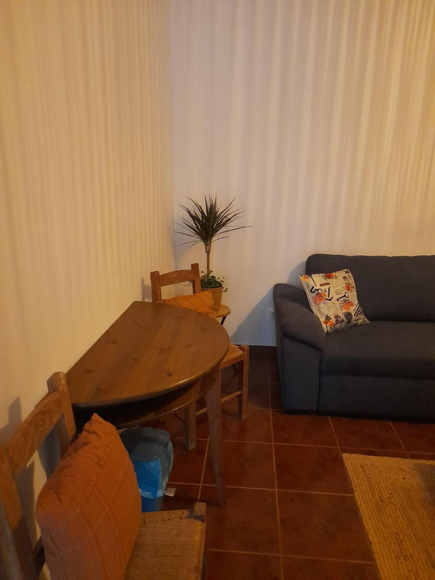 Willa Nova Quinta Moderna Torramo Em Oliveiras, Campo De Laranjas, Na Nacional 2, Alentejo 13750 M2 Torrão Zewnętrze zdjęcie