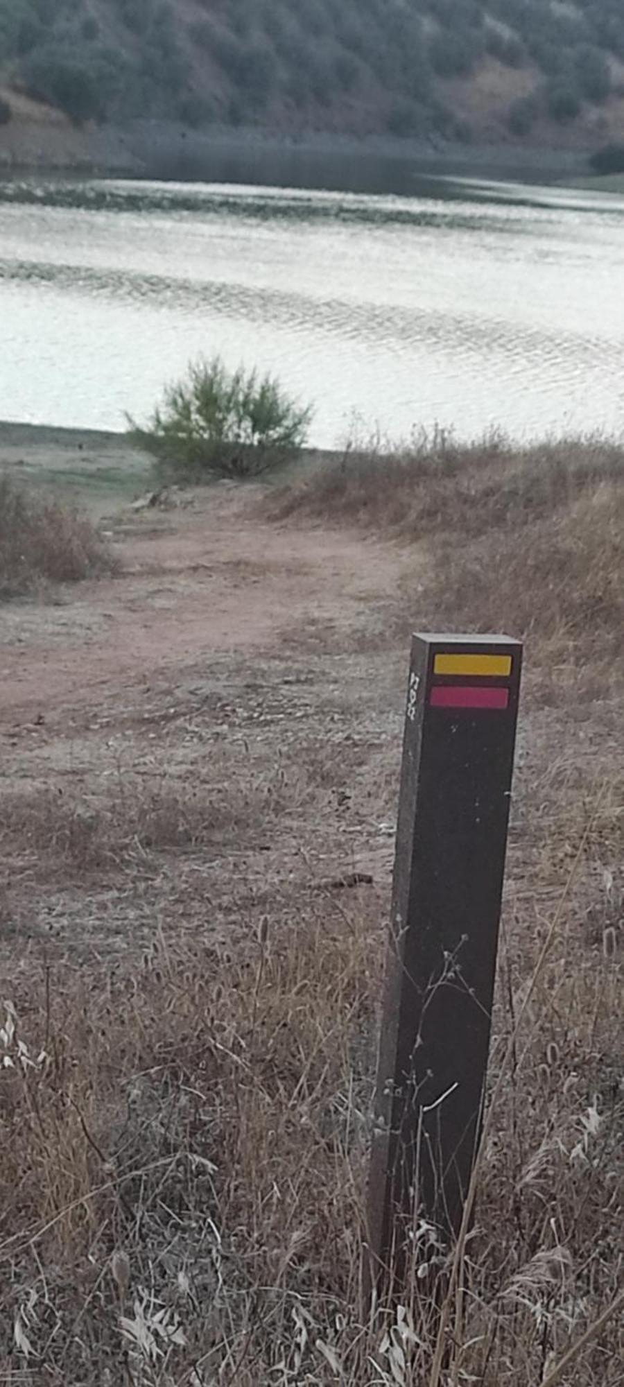 Willa Nova Quinta Moderna Torramo Em Oliveiras, Campo De Laranjas, Na Nacional 2, Alentejo 13750 M2 Torrão Zewnętrze zdjęcie