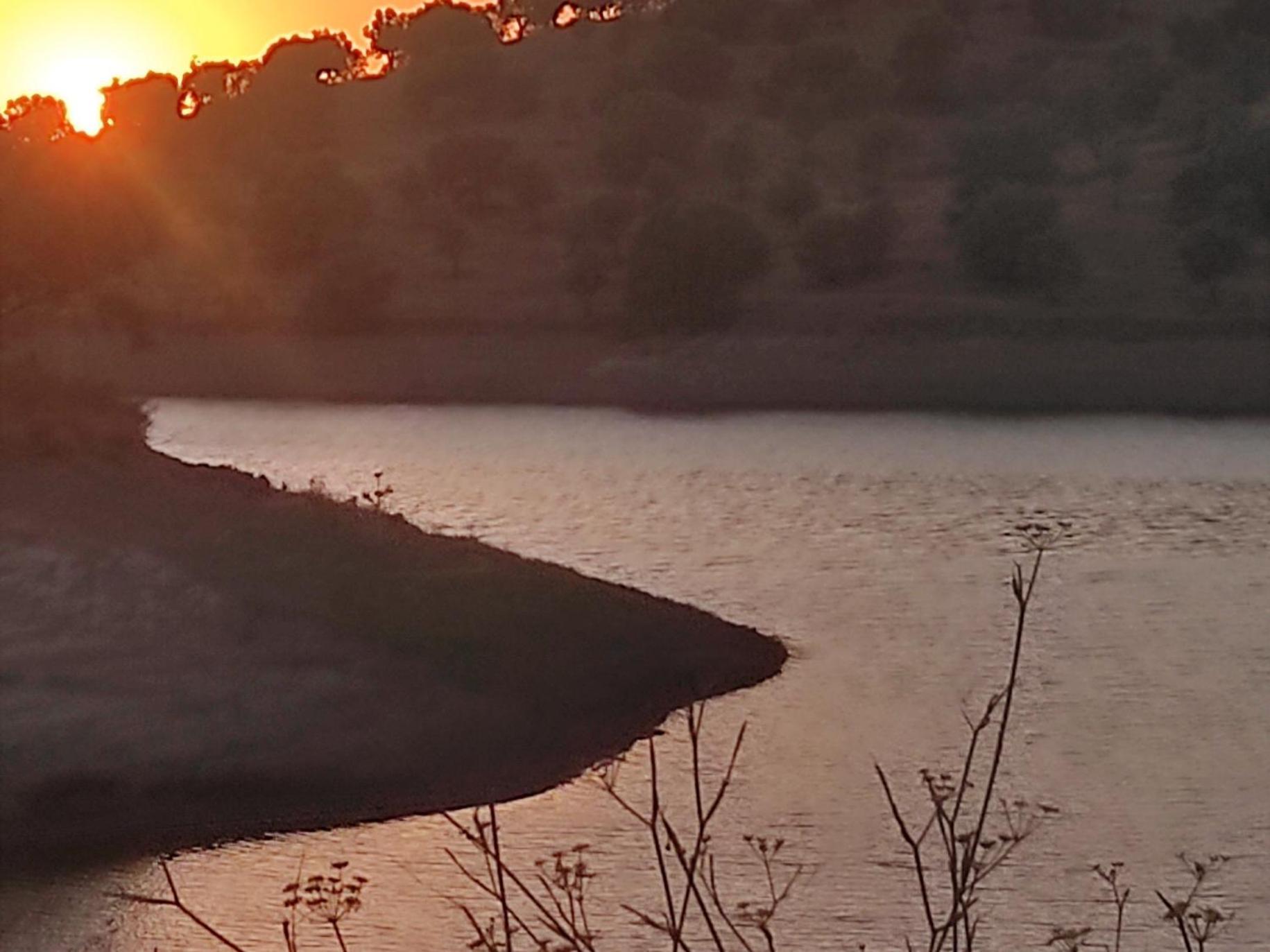 Willa Nova Quinta Moderna Torramo Em Oliveiras, Campo De Laranjas, Na Nacional 2, Alentejo 13750 M2 Torrão Zewnętrze zdjęcie
