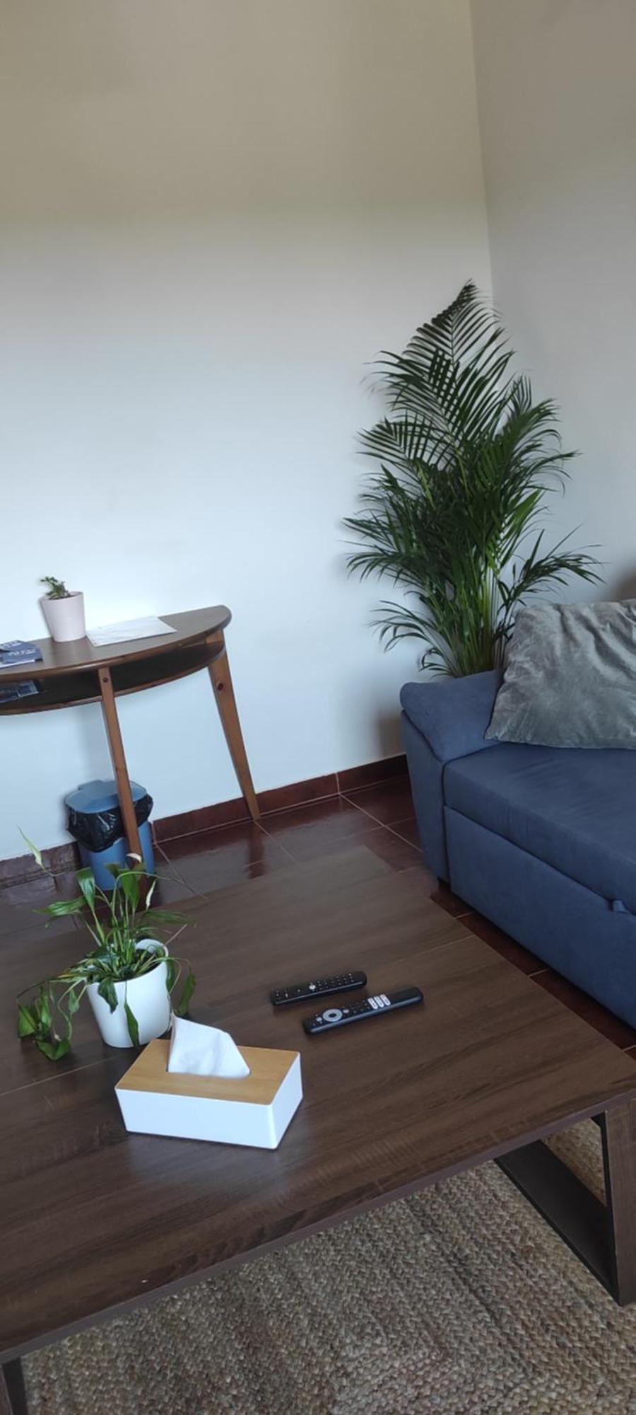Willa Nova Quinta Moderna Torramo Em Oliveiras, Campo De Laranjas, Na Nacional 2, Alentejo 13750 M2 Torrão Zewnętrze zdjęcie