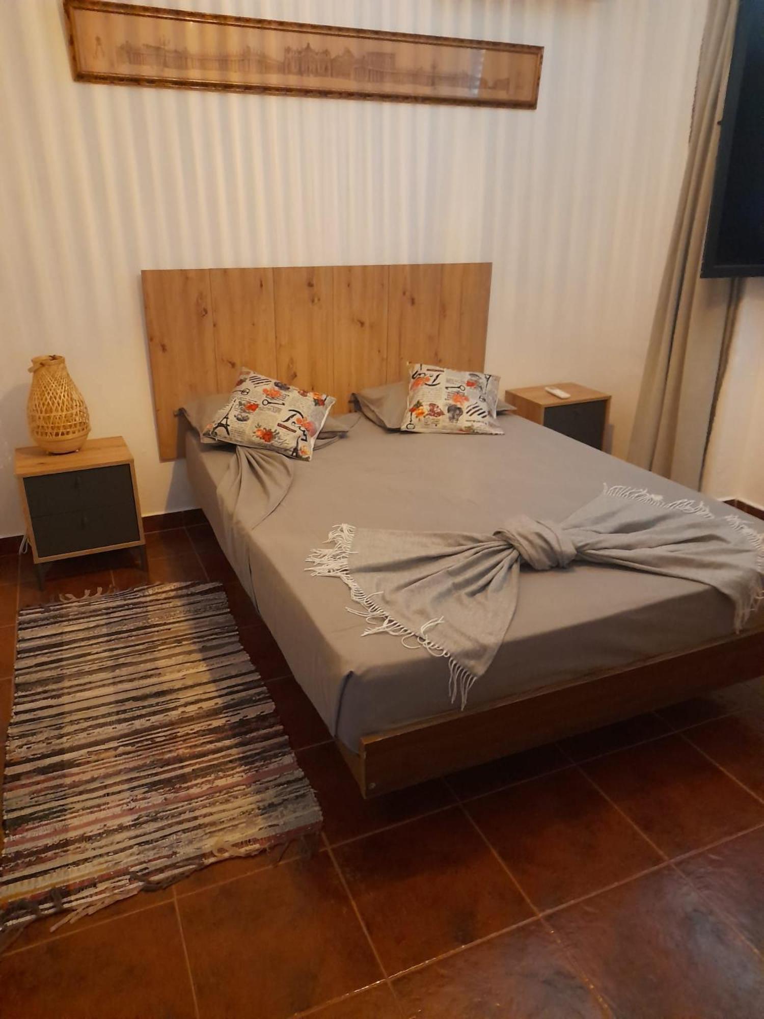 Willa Nova Quinta Moderna Torramo Em Oliveiras, Campo De Laranjas, Na Nacional 2, Alentejo 13750 M2 Torrão Zewnętrze zdjęcie